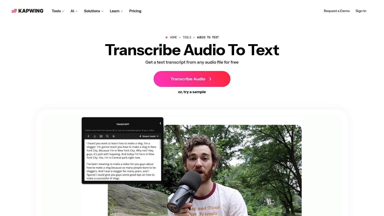 Kapwing – Audio to Text