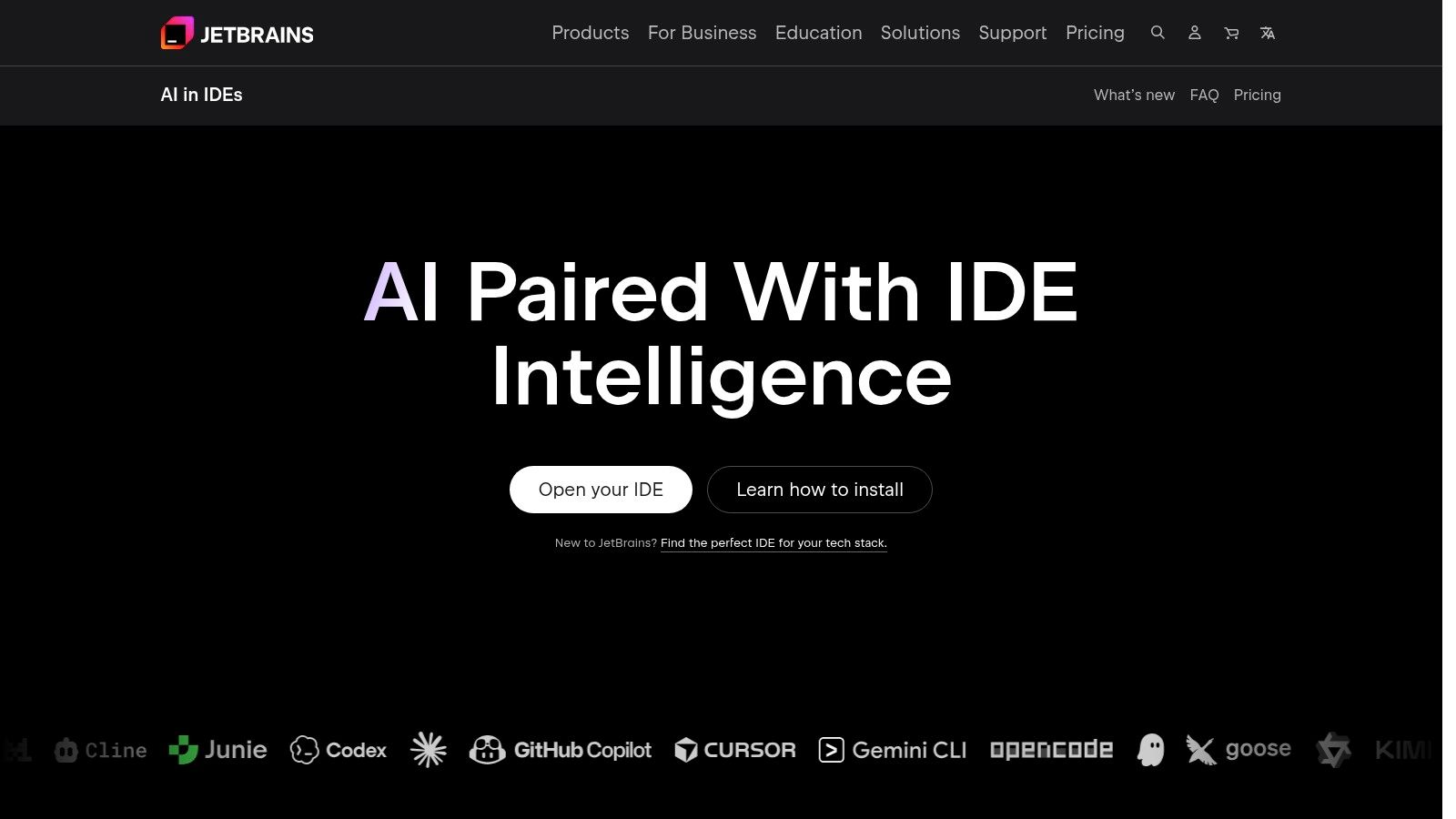 JetBrains AI Assistant
